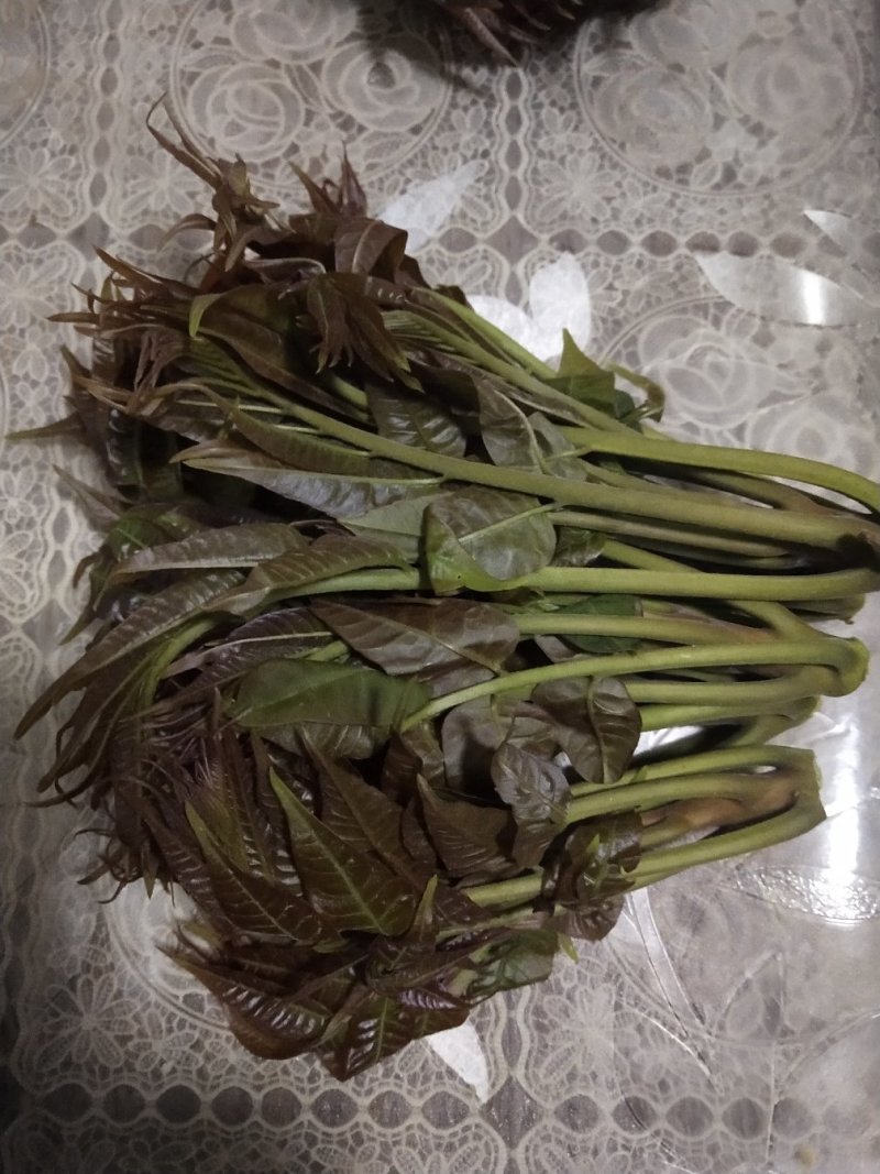 山西红油香椿芽