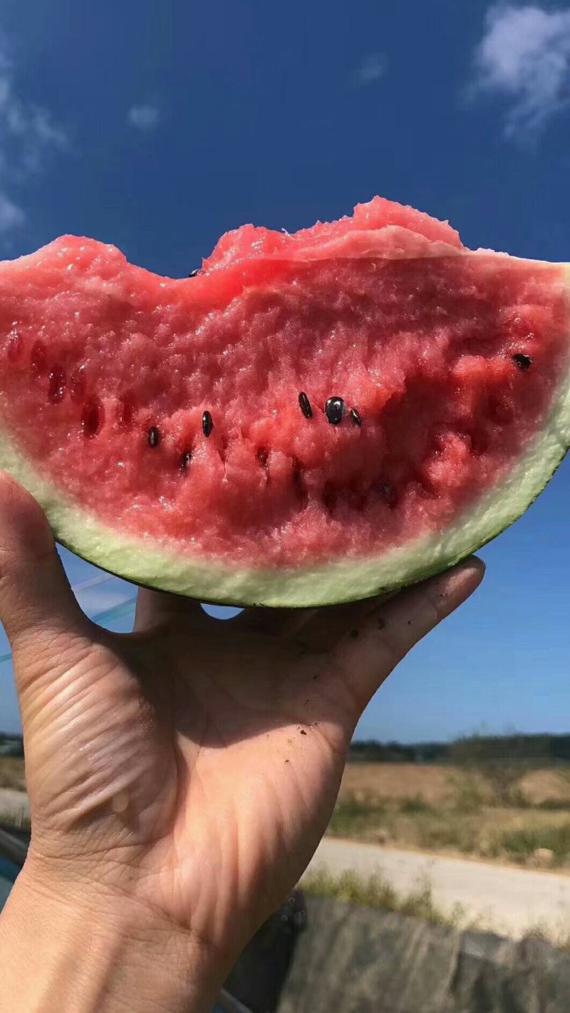 精品美都，，江苏东台8424西瓜，产地直供。