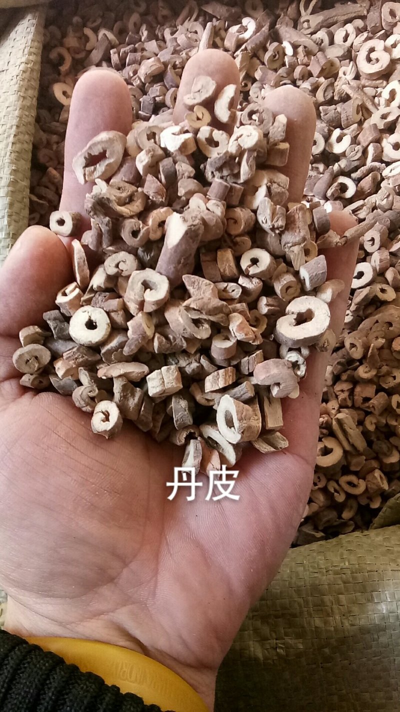 丹皮牡丹皮牡丹根皮抽芯率高各种中药材