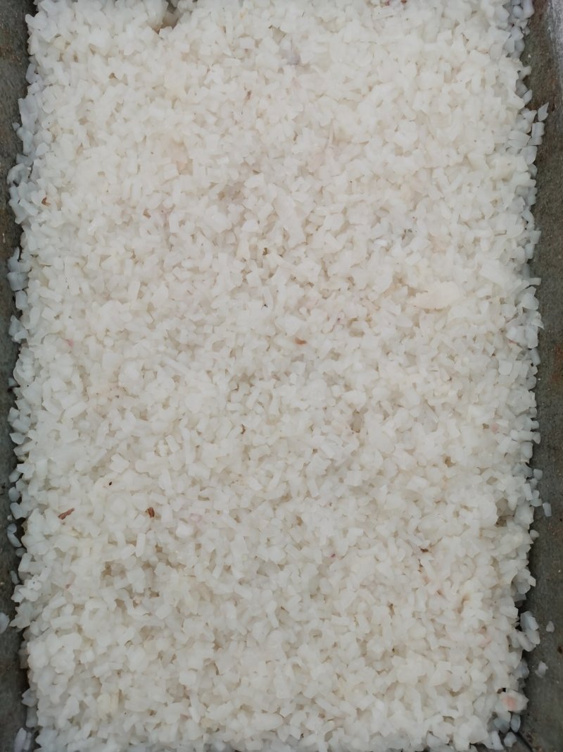 鱿鱼花粒，鱿鱼花，鱿鱼颗粒，鱿鱼残花，品质保证