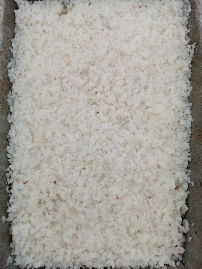 鱿鱼花粒，鱿鱼花，鱿鱼颗粒，鱿鱼残花，品质保证