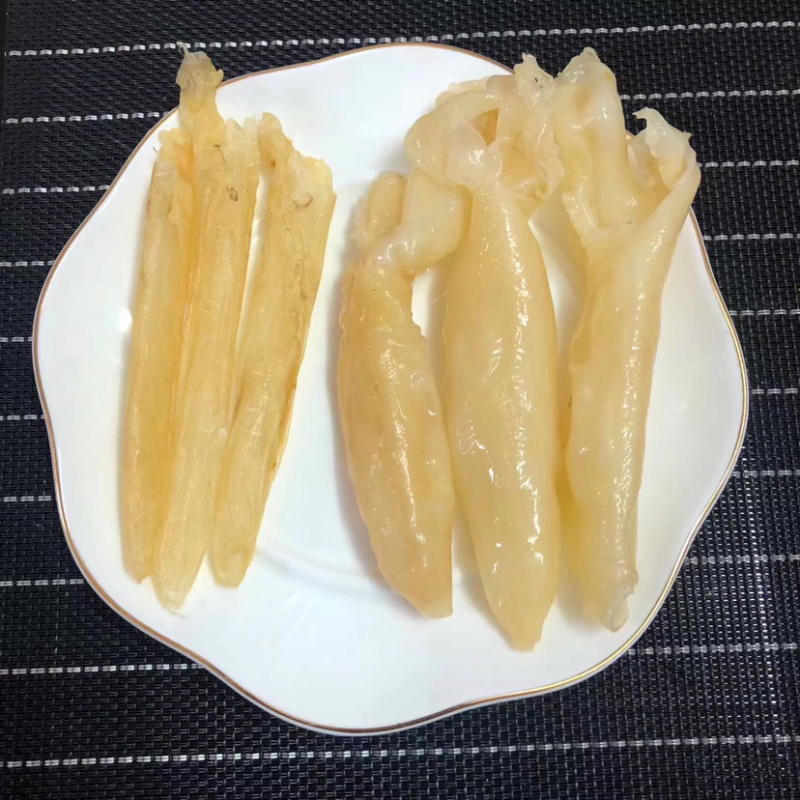 200头咸水花胶黄花胶批发