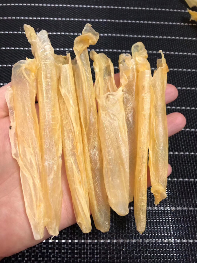 200头咸水花胶黄花胶批发