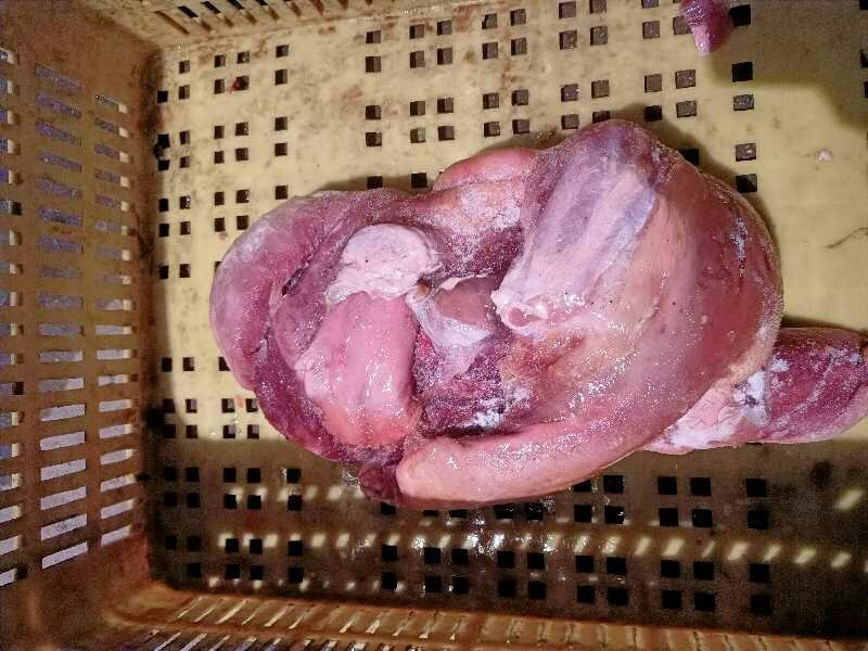 国产牛舌，1.5一2斤的价格便宜