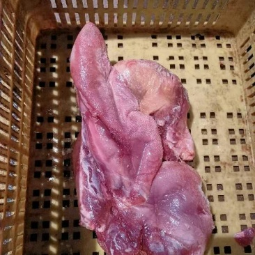 国产牛舌，1.5一2斤的价格便宜