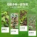 包邮移栽苗器播种机自动载种植烟西瓜辣椒种苗栽苗