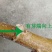 广西土特产面包木薯种茎甜木薯种子树薯种苗当年种可出