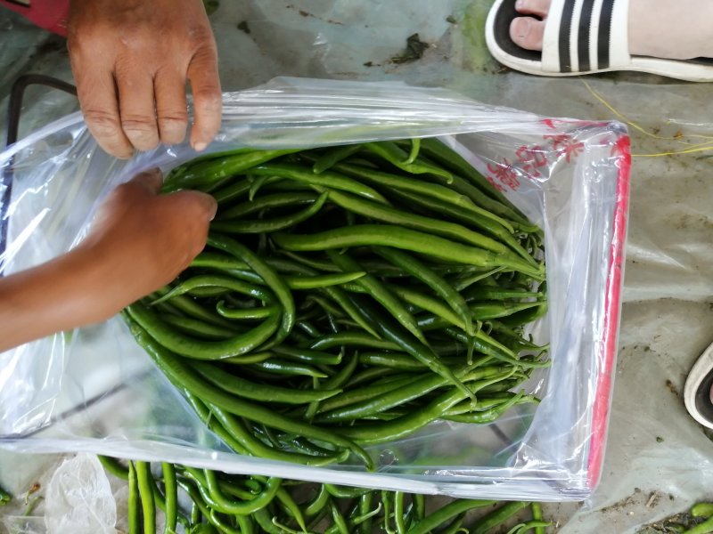 精品直销超市，欢迎预订诚信代收质优价廉！！！