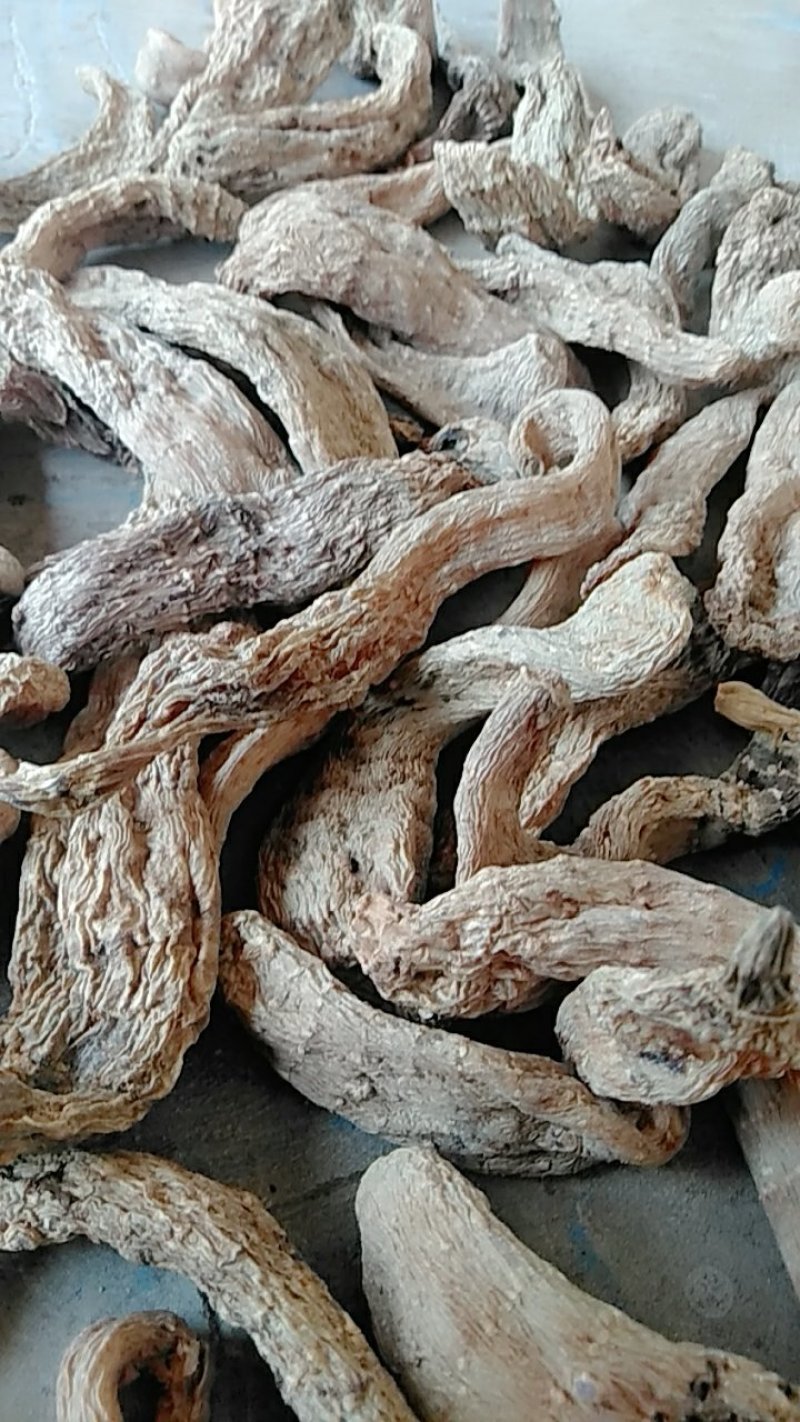 天麻中统秦岭农家林下仿野生无硫干天麻包邮