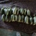博洋61/博洋9德瑞特公司正宗博洋系列