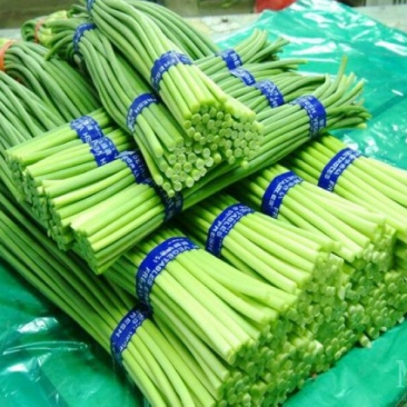 精品，60-70cm一茬