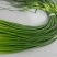 精品，60-70cm一茬