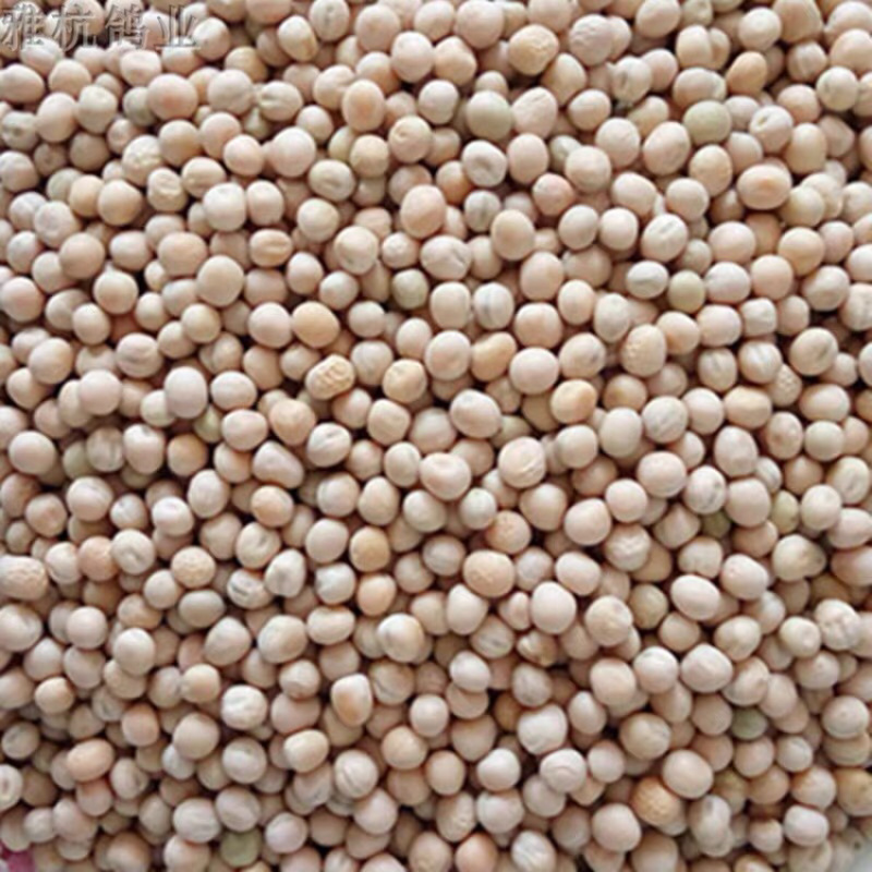 白豌豆，过风过筛，破边少于10%，运费自理，