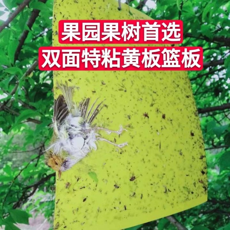 双面粘虫板黄蓝一体可降解螺纹黄板黑色黏虫板灭虫板粘蝇板诱