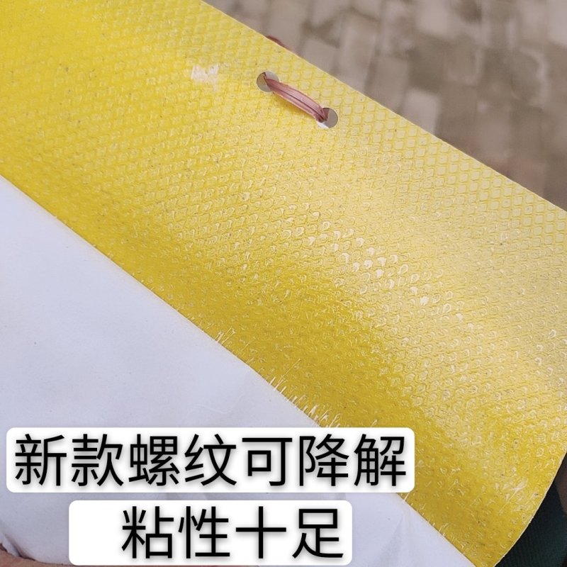双面粘虫板黄蓝一体可降解螺纹黄板黑色黏虫板灭虫板粘蝇板诱