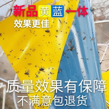双面粘虫板黄蓝一体可降解螺纹黄板黑色黏虫板灭虫板粘蝇板诱