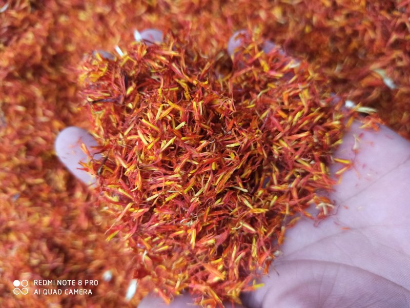 【荐】红花各种规格正品各种规格专业经营中药批发