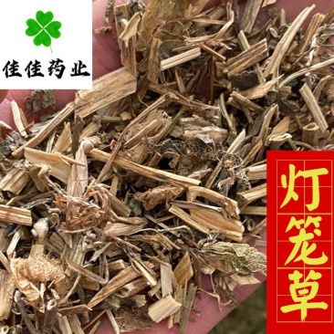 灯笼草好统货供应各种中药材一公斤佳佳药业