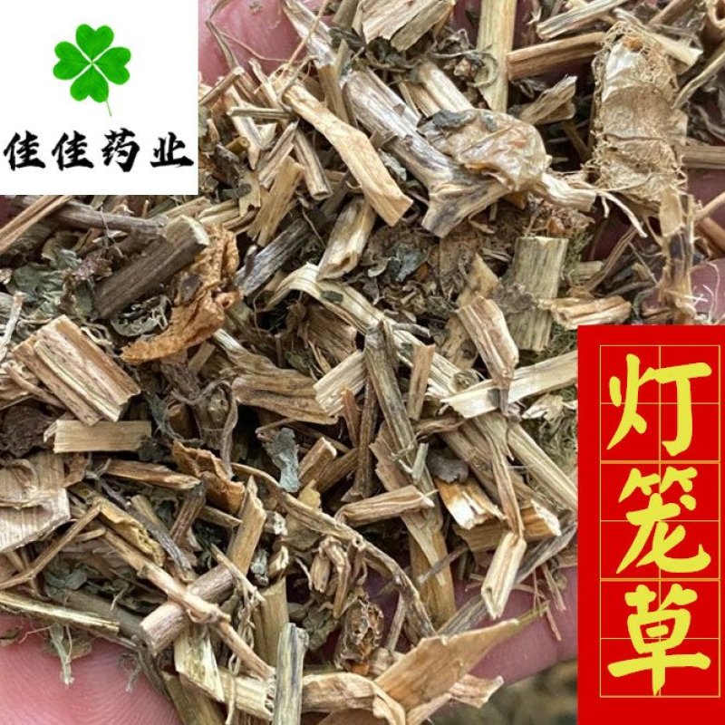 灯笼草好统货供应各种中药材一公斤佳佳药业