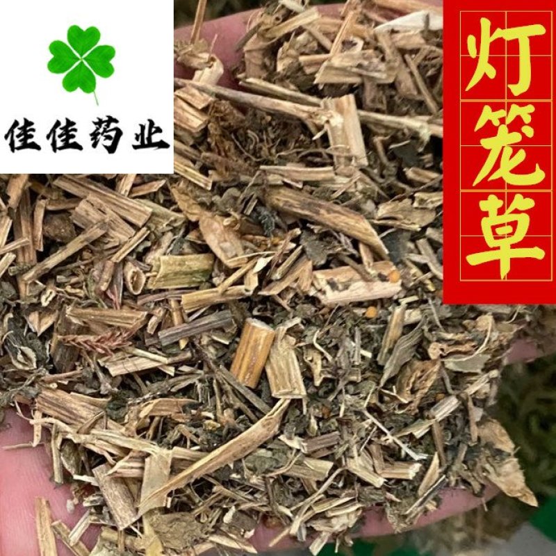 灯笼草好统货供应各种中药材一公斤佳佳药业