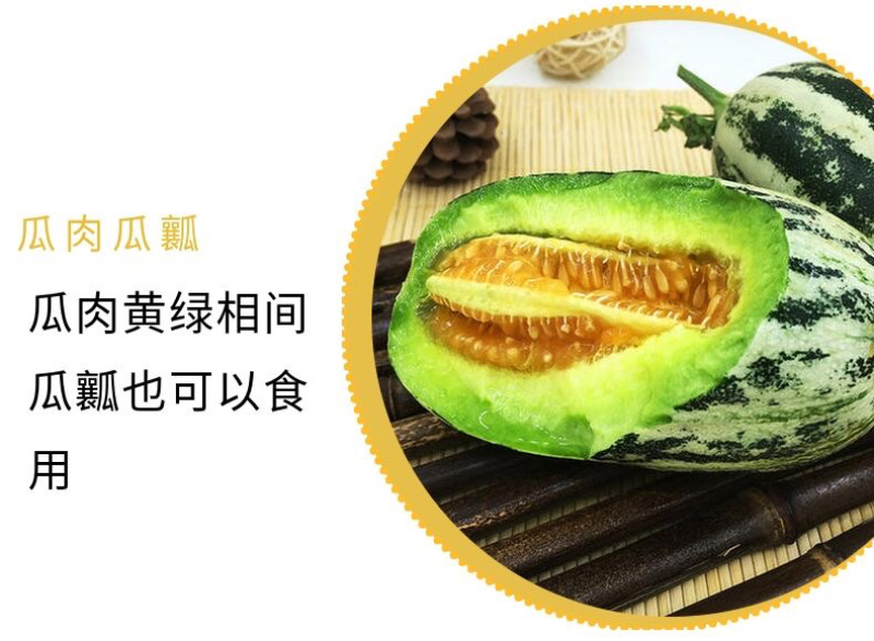 【博洋甜瓜】山东寿光博洋甜瓜，山东甜瓜新鲜头茬，诚信代办