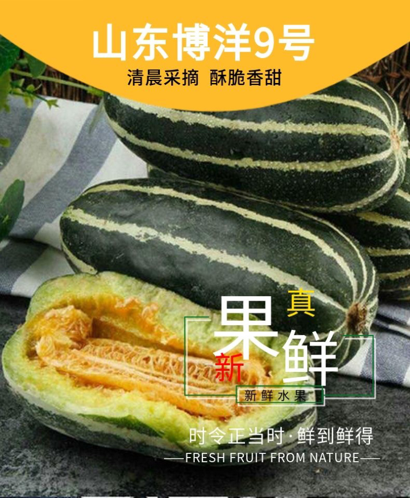 【博洋甜瓜】山东寿光博洋甜瓜，山东甜瓜新鲜头茬，诚信代办