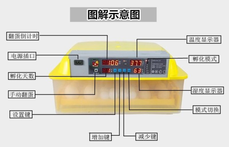 孵化设备孵化机孵化器60型智能全自动小型孵化机