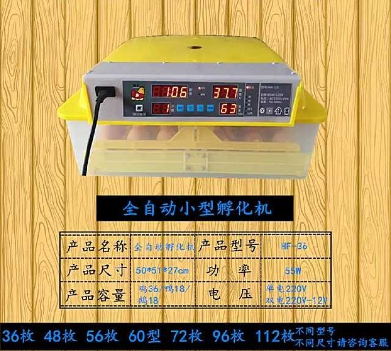 孵化设备孵化机孵化器60型智能全自动小型孵化机