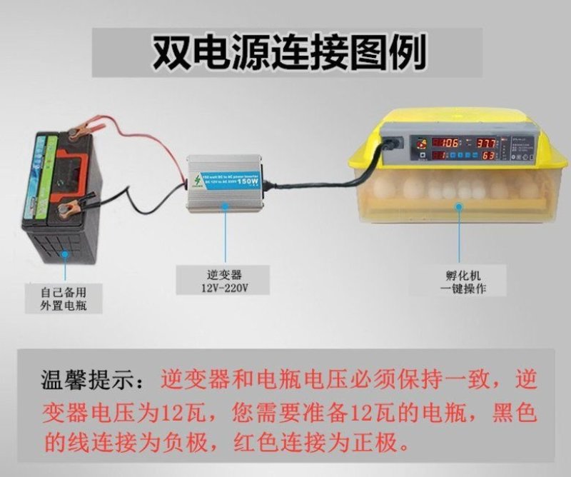 孵化设备孵化机孵化器60型智能全自动小型孵化机