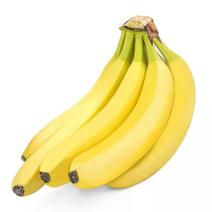 广东一号香蕉热带水果海南香蕉巴西香蕉