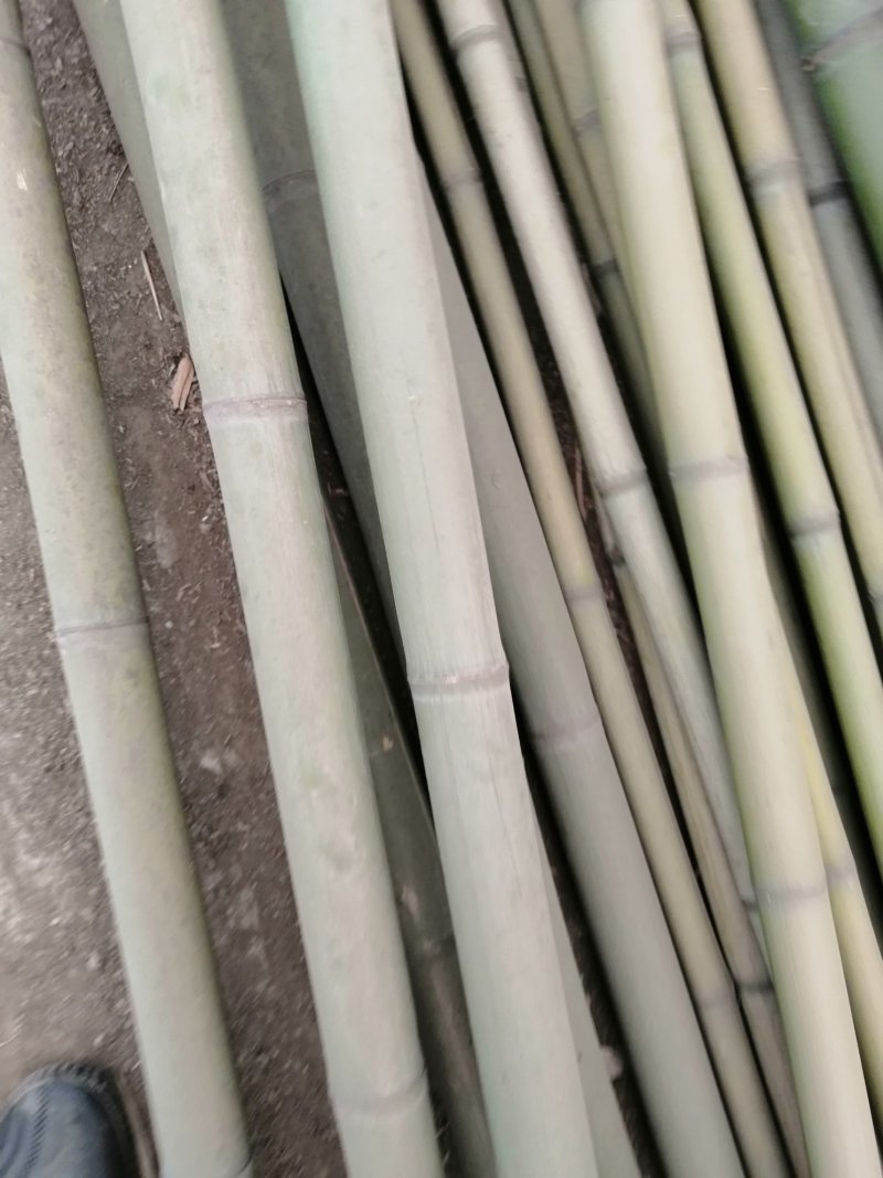板竹竿有需要的老板联系我