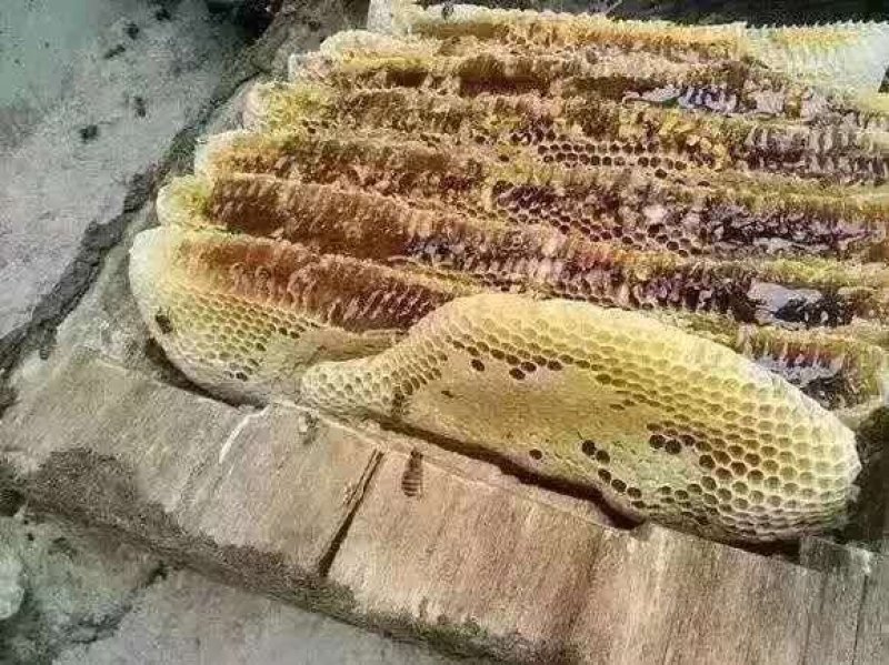 蜂蜜