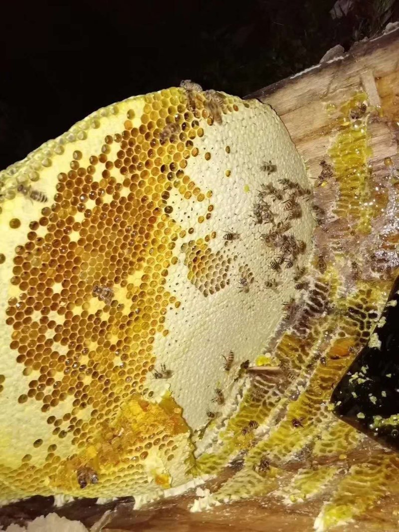 蜂蜜