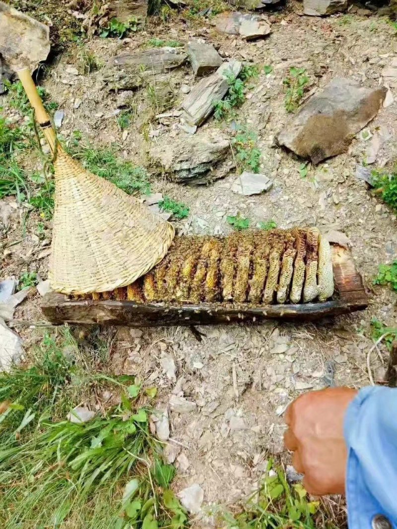 蜂蜜