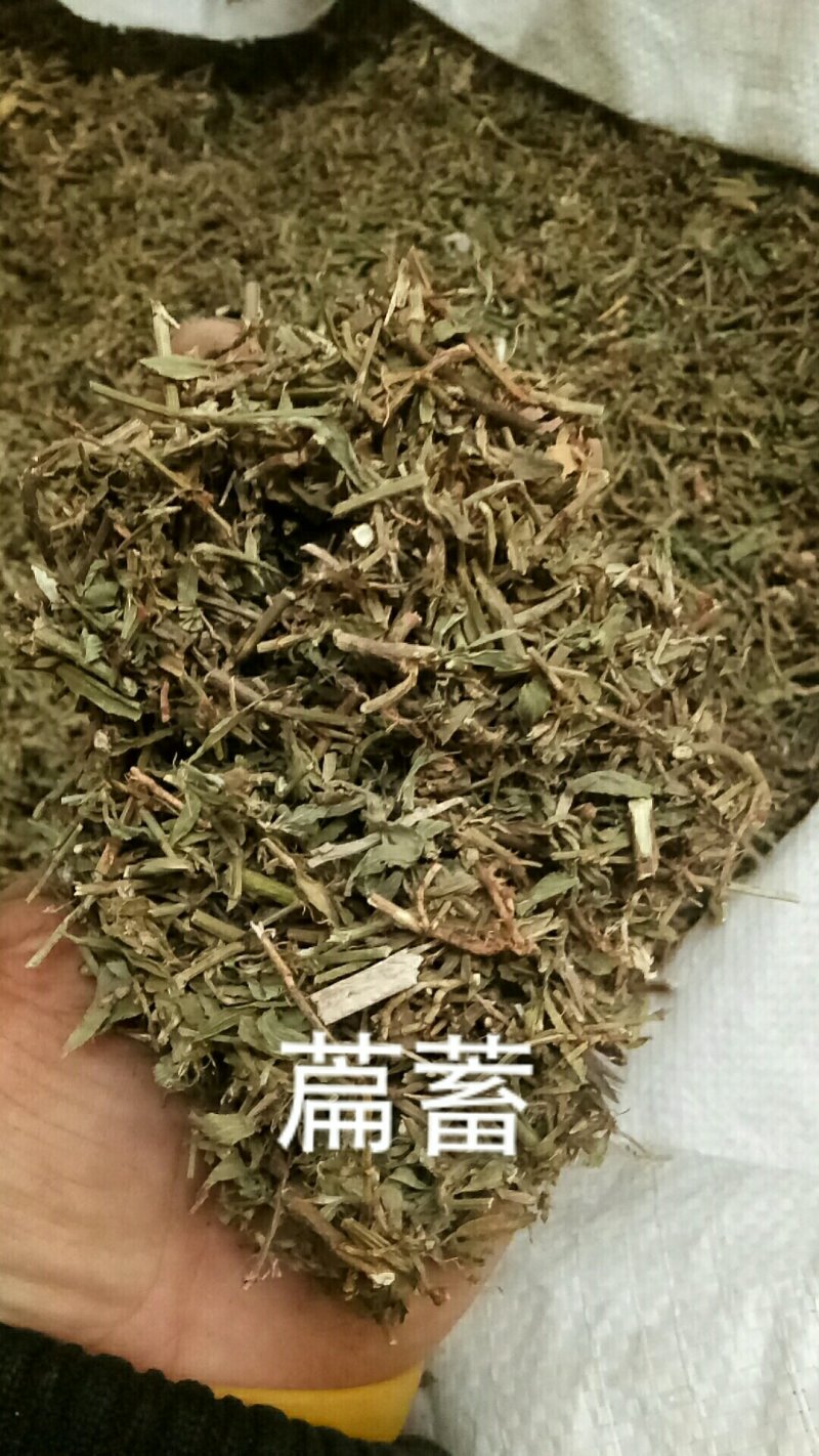 萹蓄扁蓄萹蓄草无硫无土吸尘中药材
