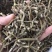 雁荡山铁皮石斛寸条，寸金条