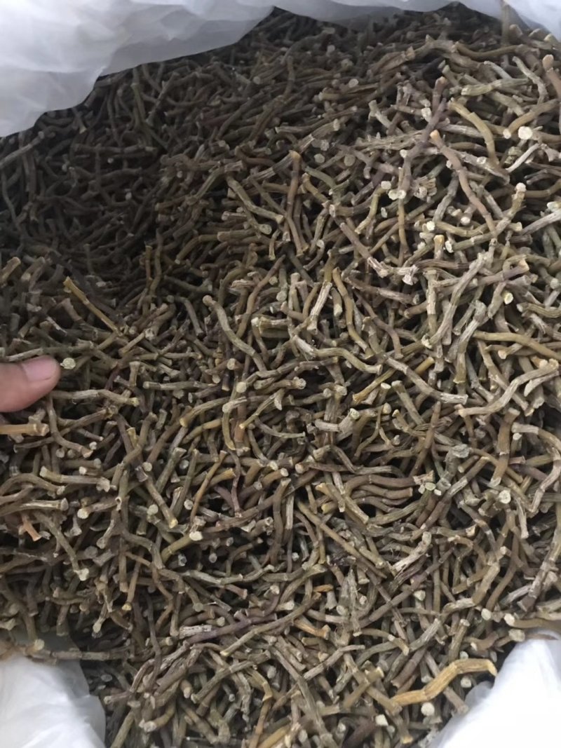 雁荡山铁皮石斛寸条，寸金条