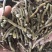 雁荡山铁皮石斛寸条，寸金条