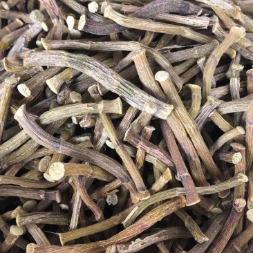 雁荡山铁皮石斛寸条，寸金条