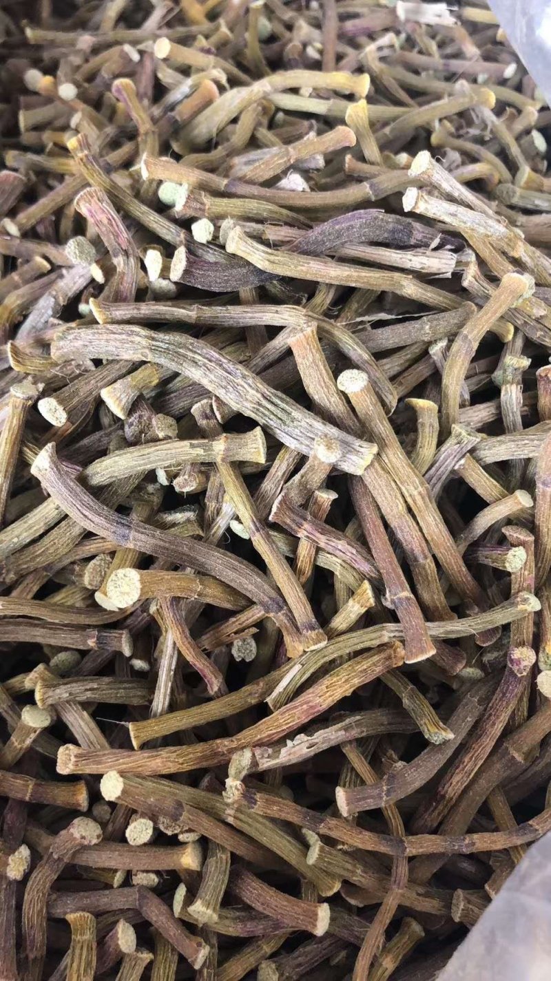 雁荡山铁皮石斛寸条，寸金条