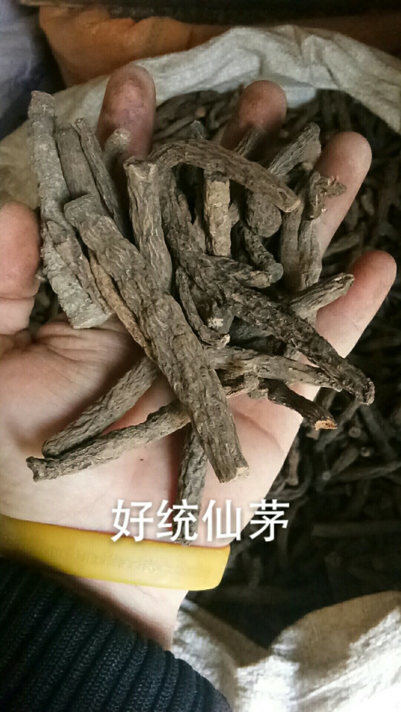仙茅仙茅根仙茅干货一公斤起批
