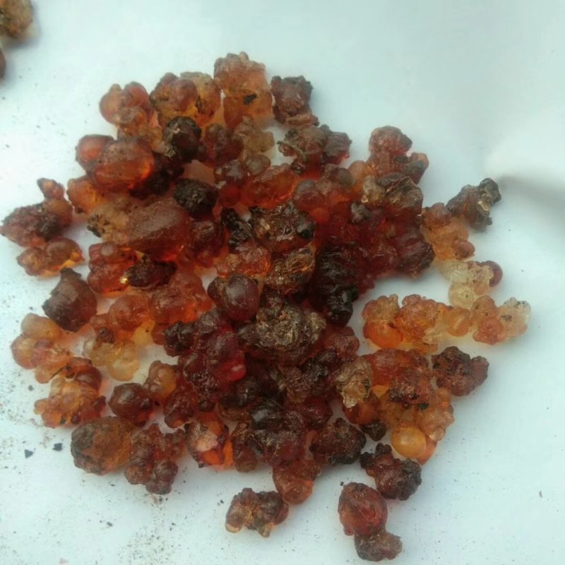 桃胶（机磨水洗精品靓红色各规格）