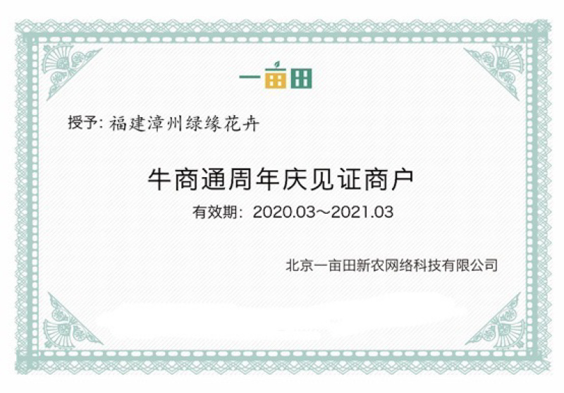 玉树盆景基地直发规格齐全带盆整箱批发欢迎进店下单