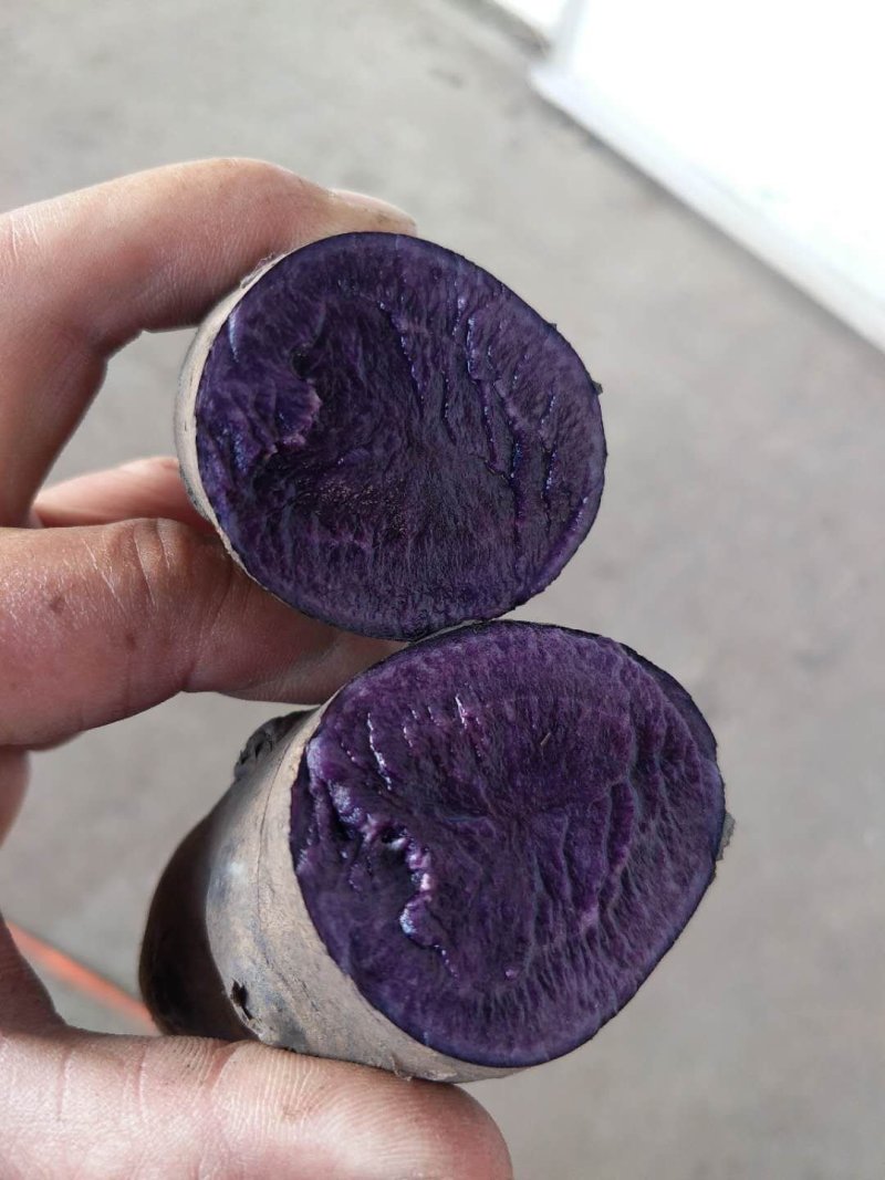 黑金刚土豆一件代发马铃薯种子种薯黑洋芋五斤