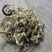 翻白草道地药材，质优价实，品质保证药典标准一公斤起批