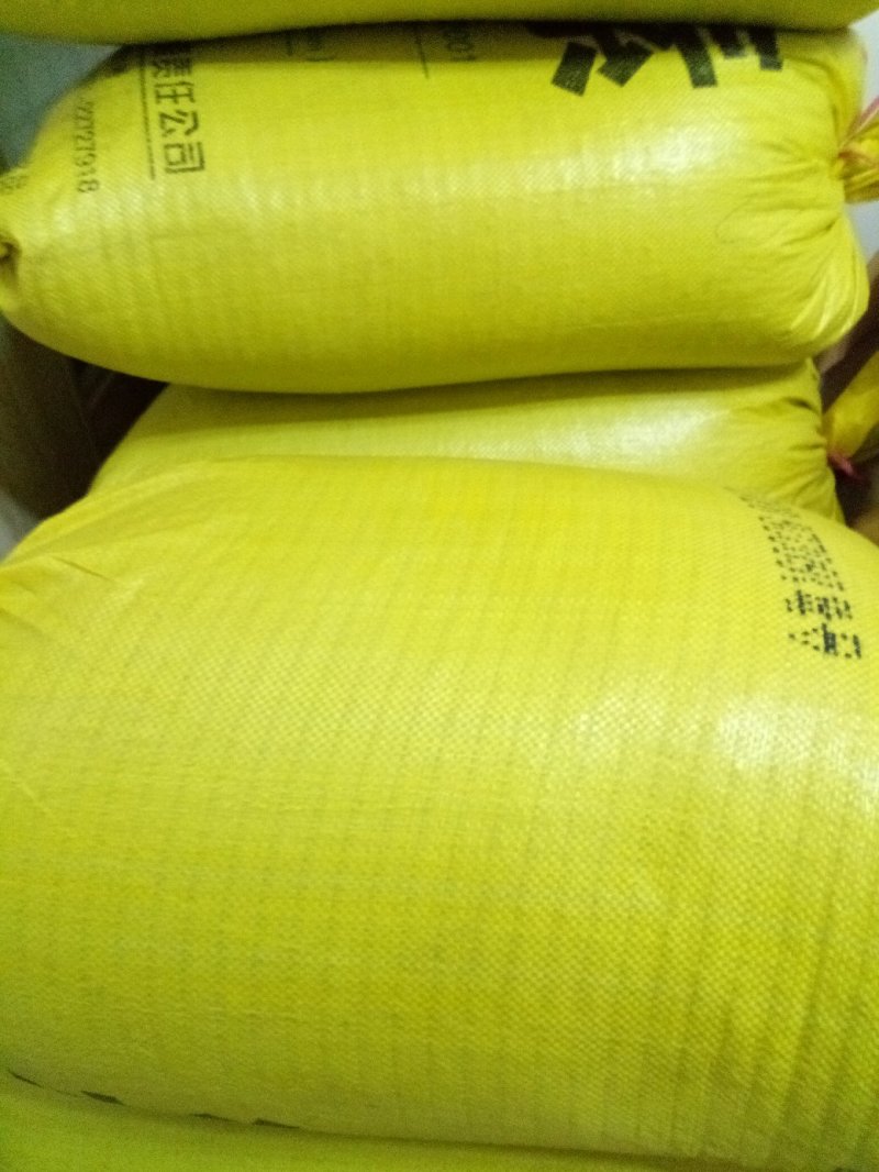 【店长推荐】国槐种子，新种子，发芽率高，无杂质