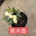 月季欧洲月季黄木香月季双瓣月季道路小区别墅绿化苗包邮