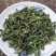 2023年新鲜野菜枸蒲穂预售支持一件代发