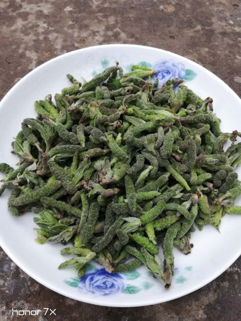 2023年新鲜野菜枸蒲穂预售支持一件代发