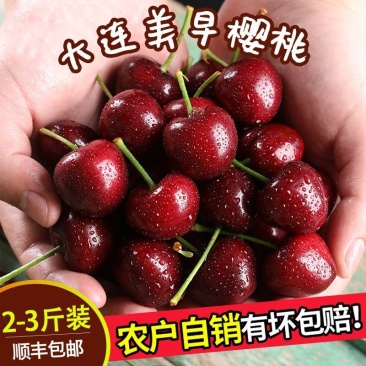 香甜水果辽宁大连美早樱桃车厘子产地直发顺丰包邮一件代发